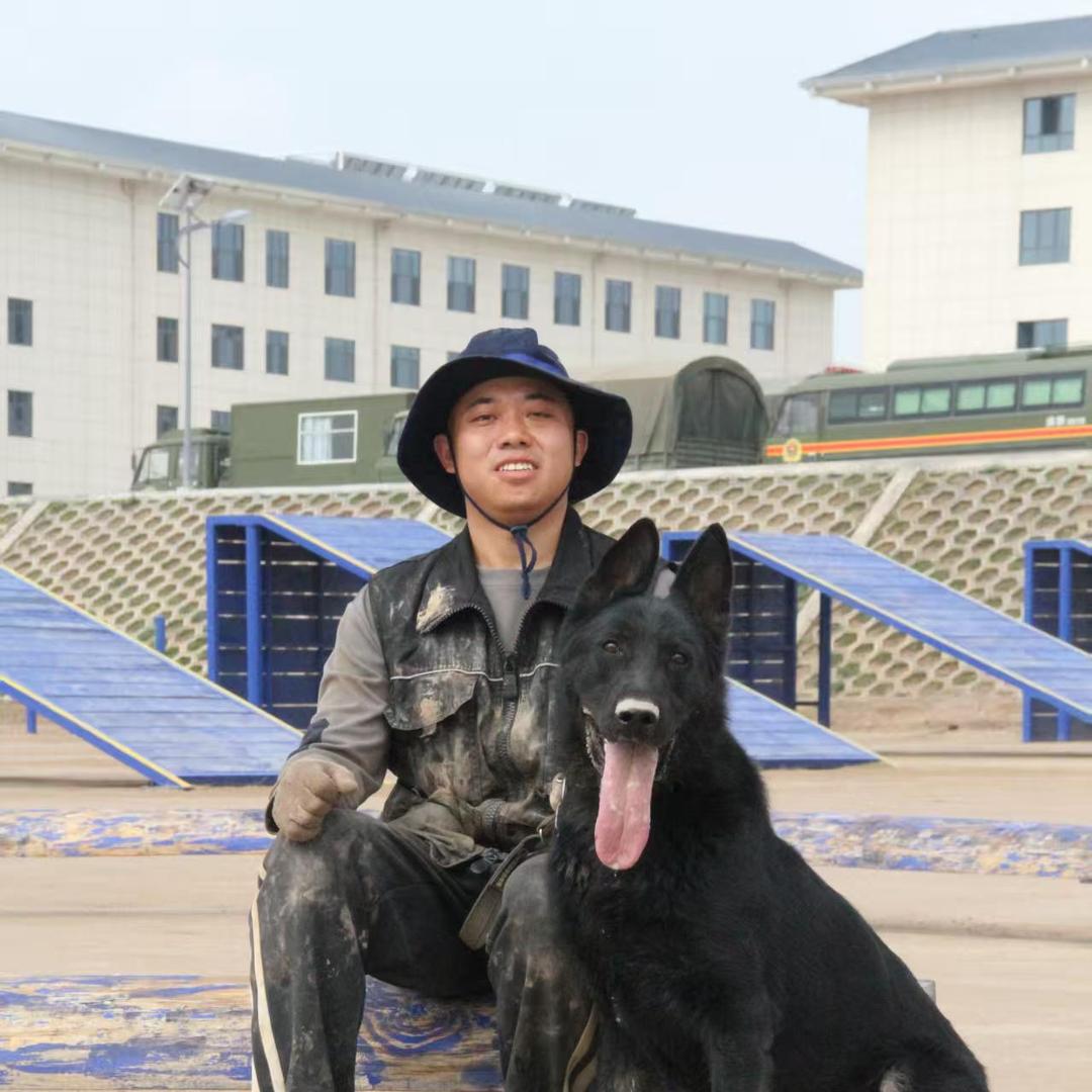 超哥工作犬直播号（东德、马犬）