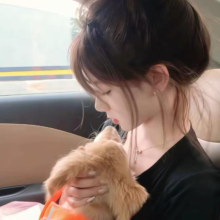一只小胖