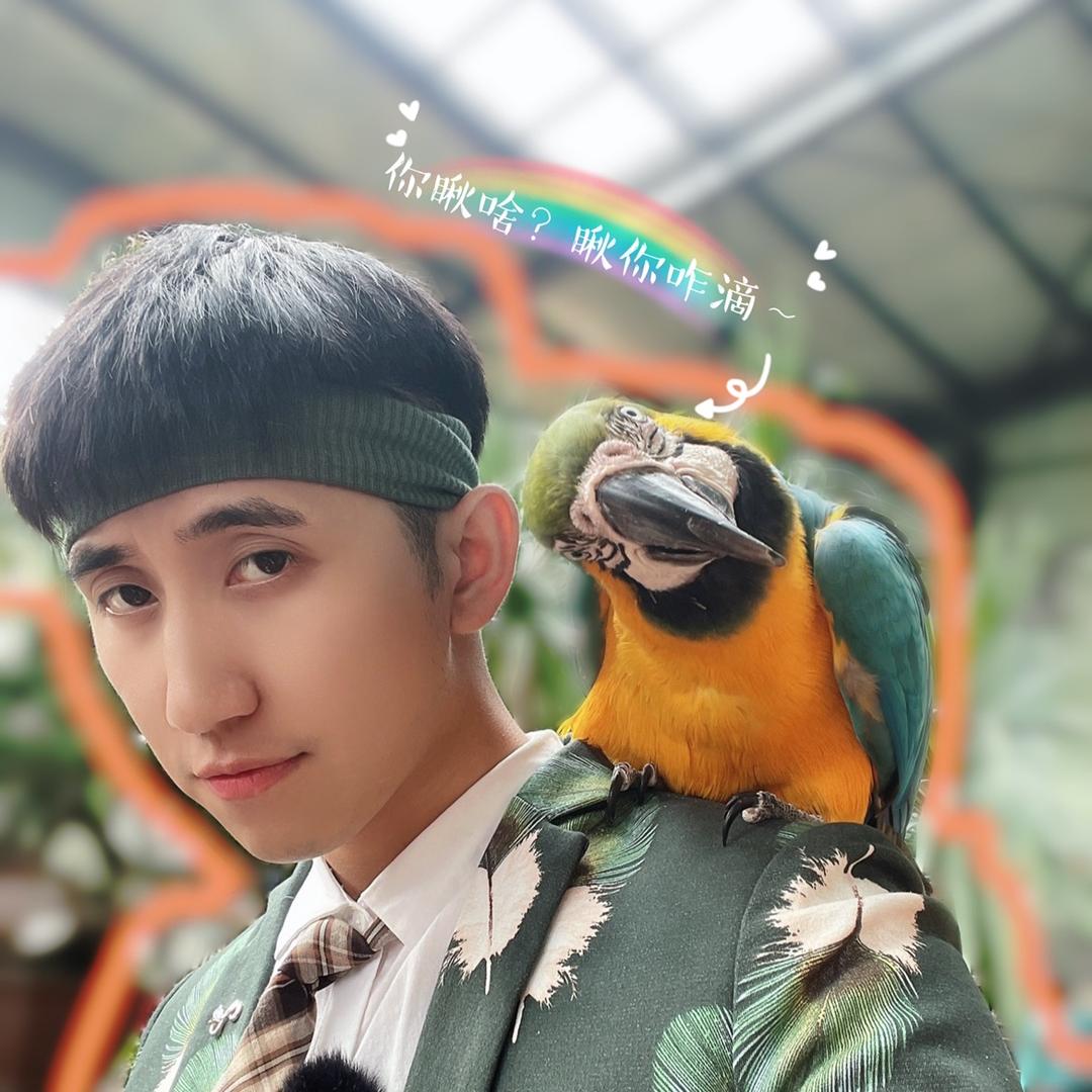 大鸟爱唱歌