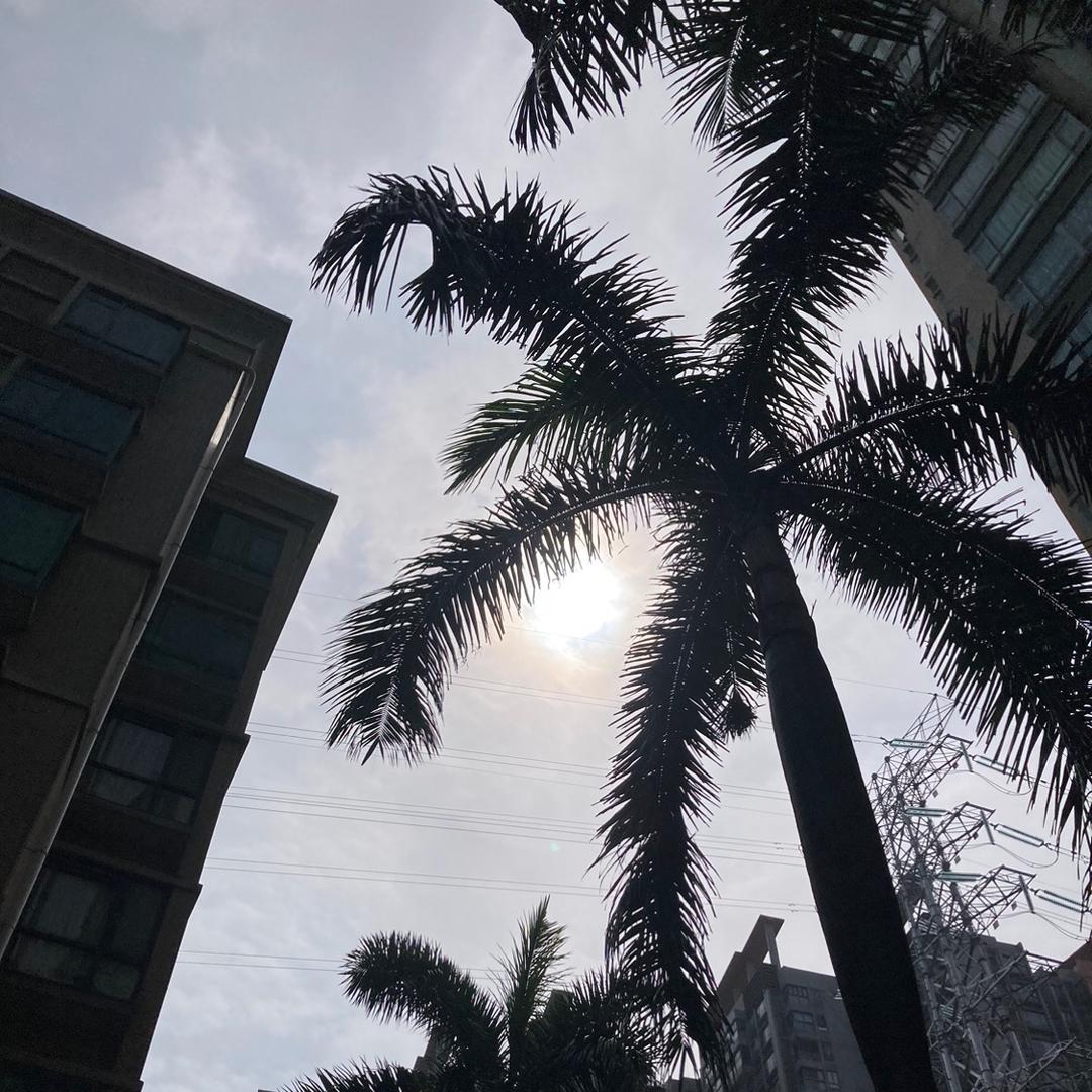 小灵幻