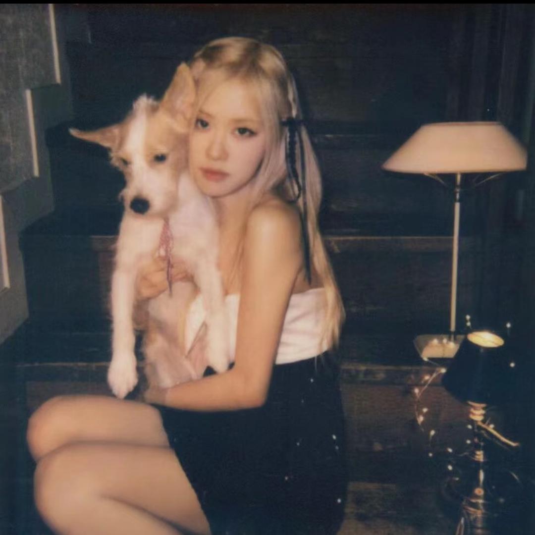 _yy