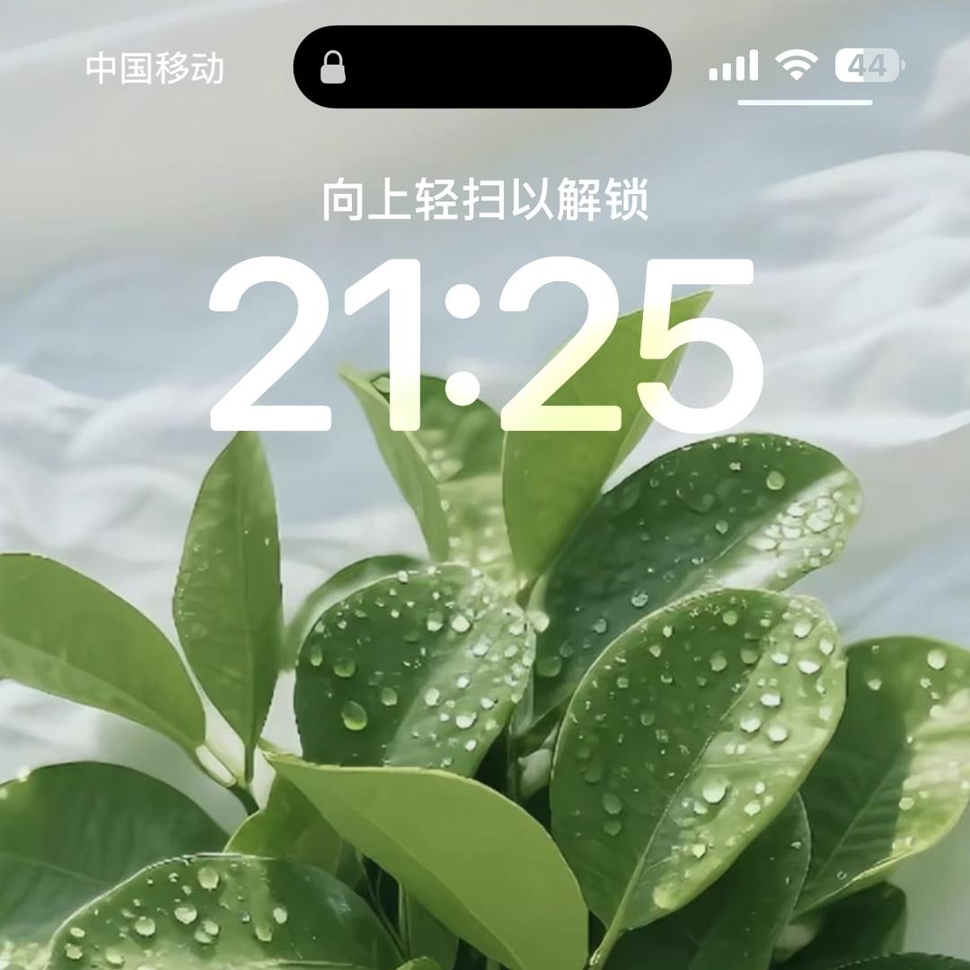 宝剑不锈钢