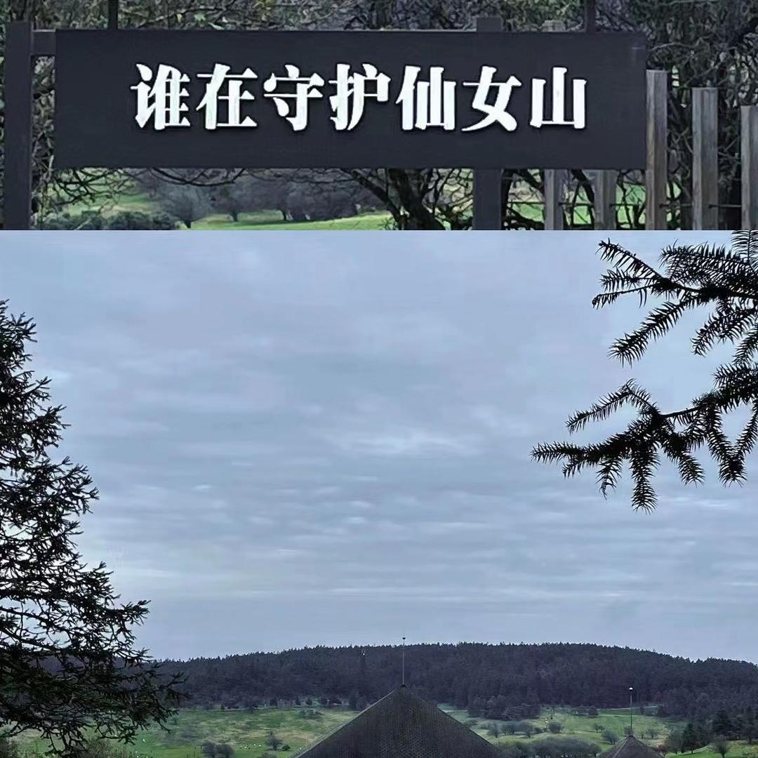 Ω美女也会ᵉᵐᵒ