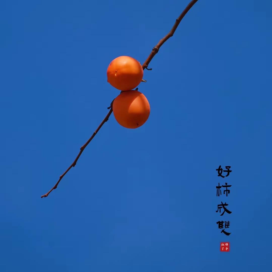 孙小姐🌼