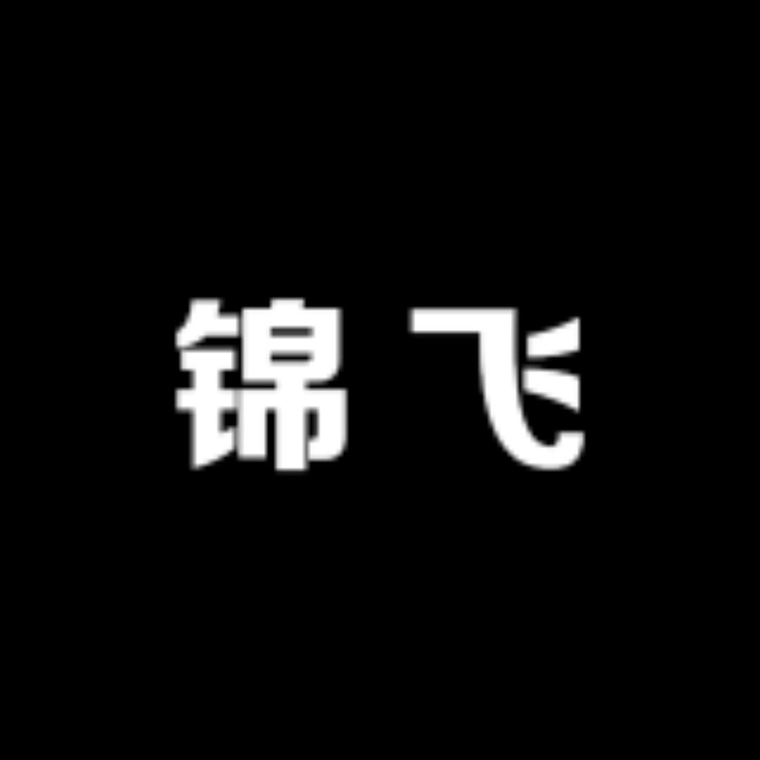 锦飞鞋店N