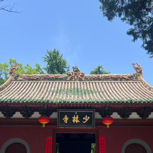 那还是回山里吧