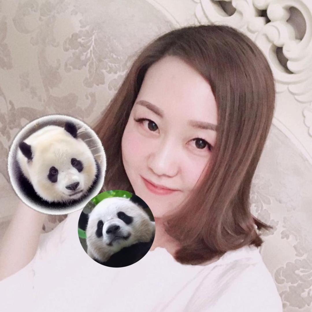 娟子熊猫之路