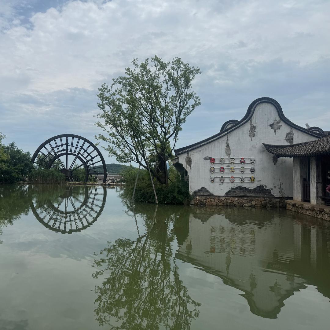 杨杨……
