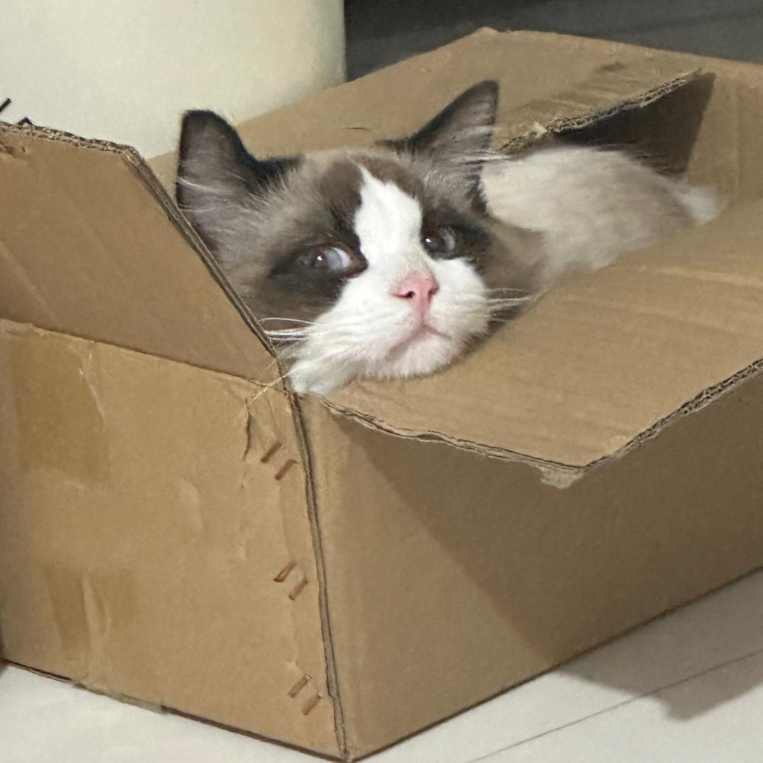 刘羽禅