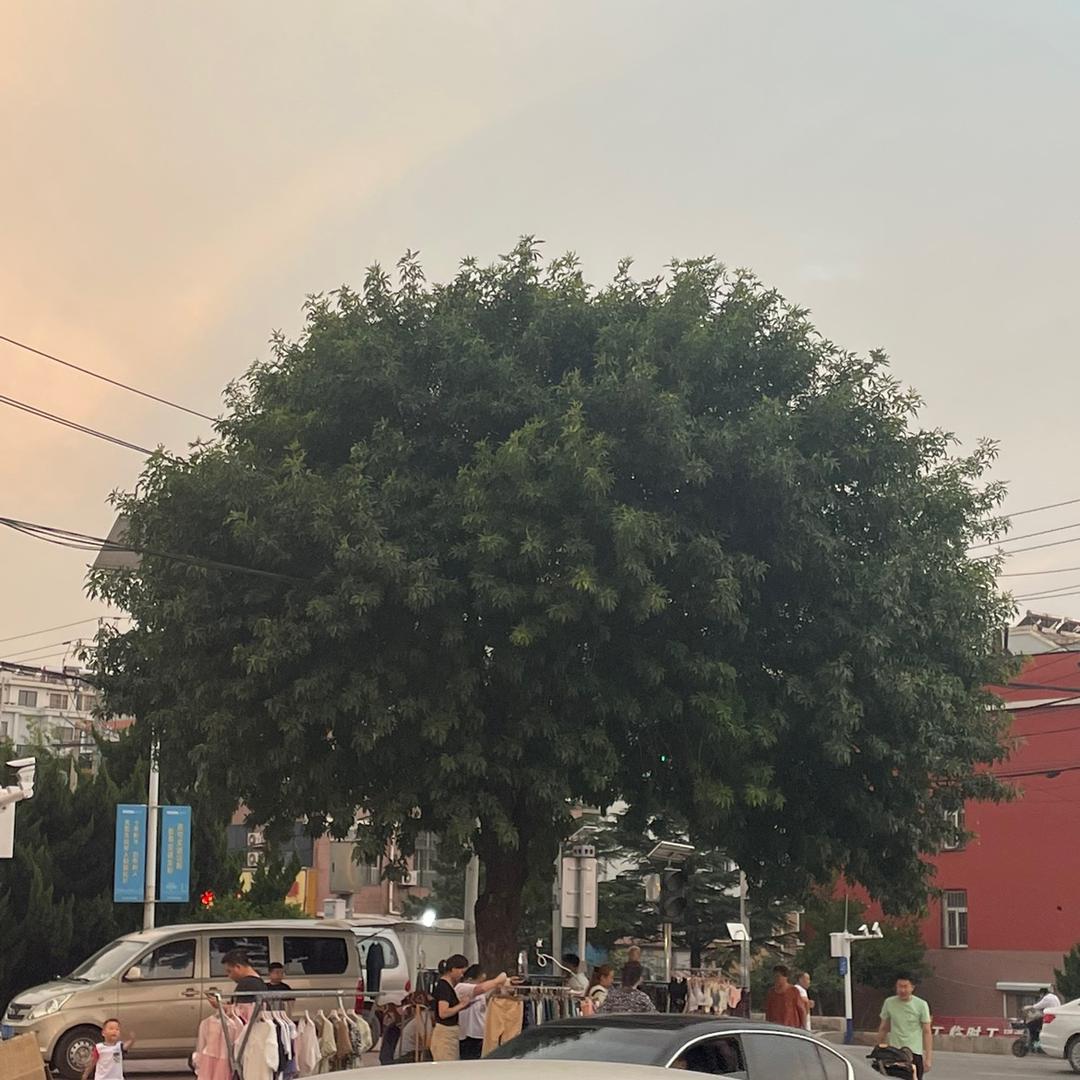 @东.