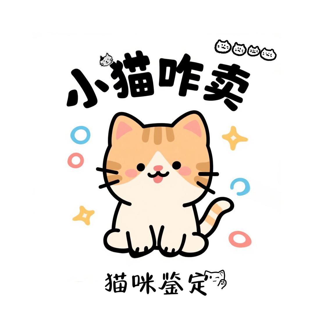小猫咋卖（猫咪鉴定）