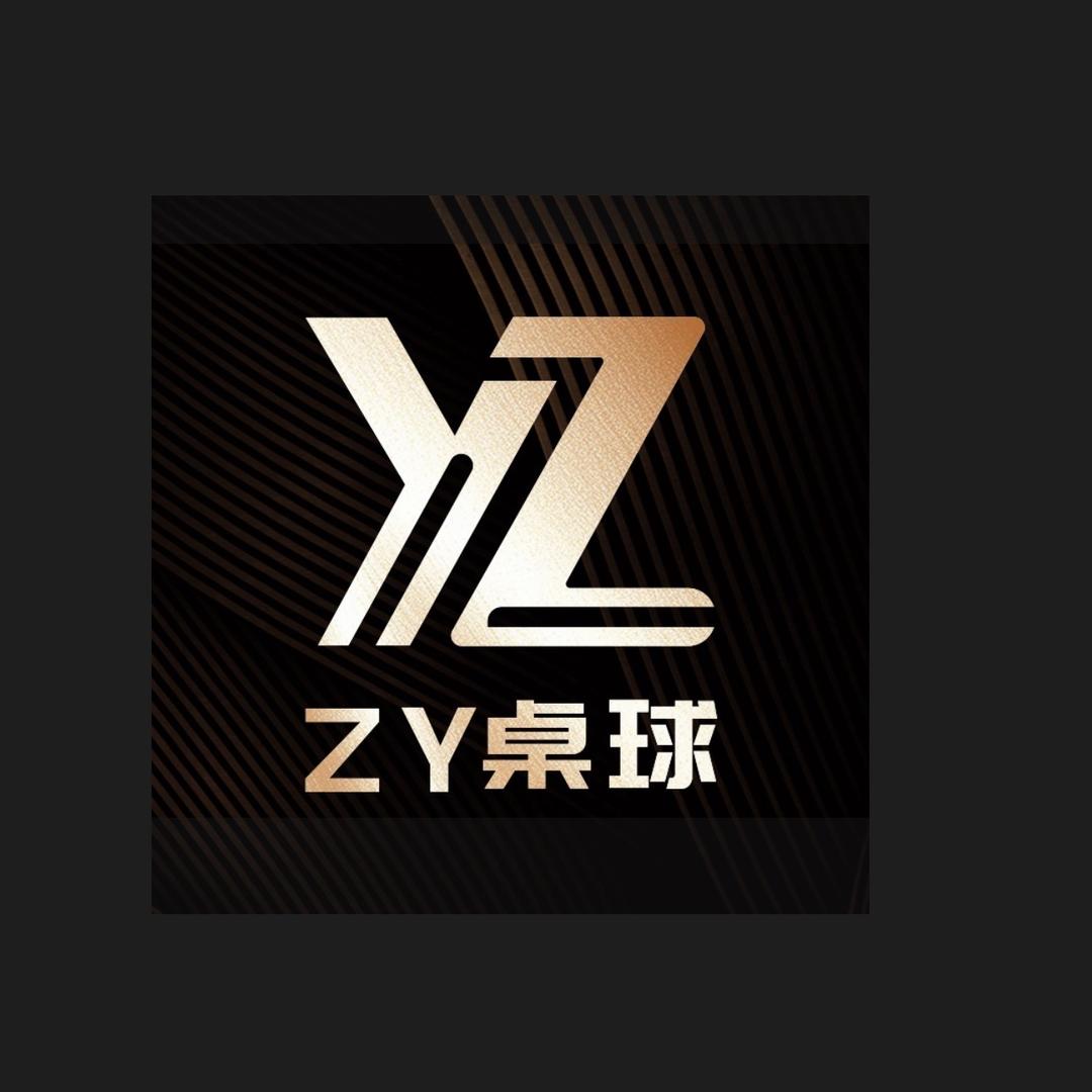 ZY桌球