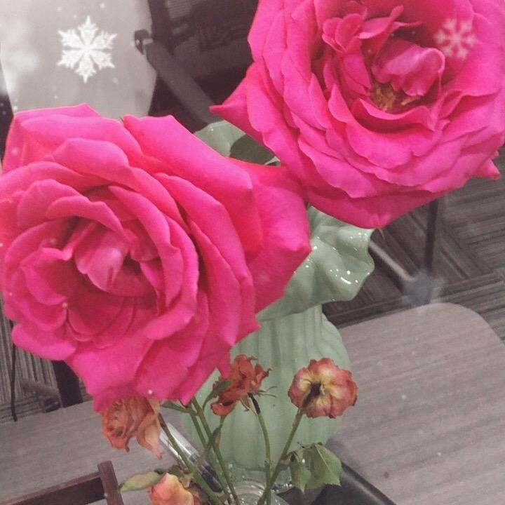梦幻666