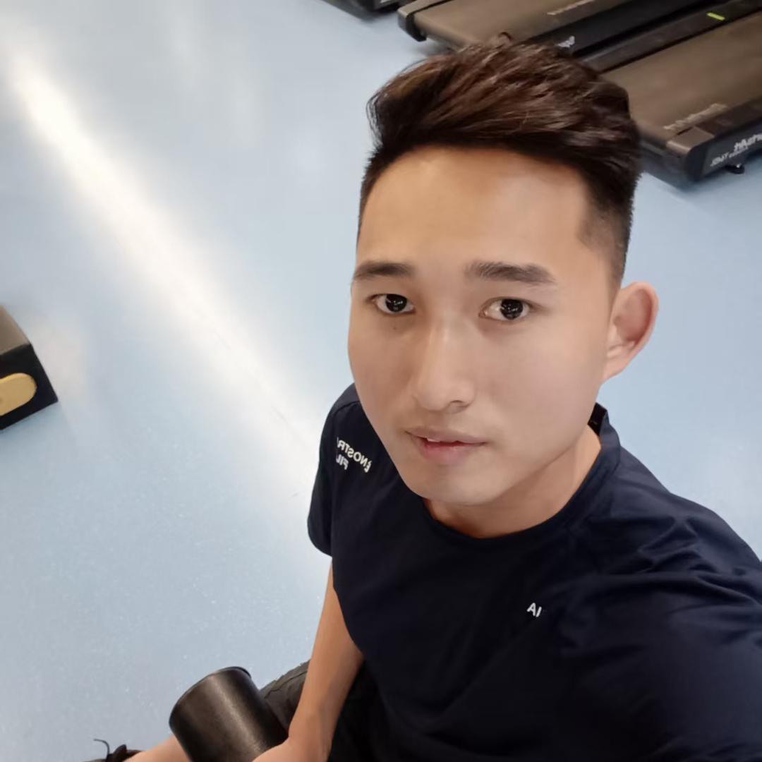 文青汽车柴油大面包大鹏