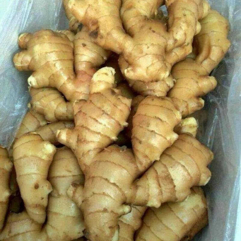 威海大姜大蒜助农福陈（沐沐爸爸）