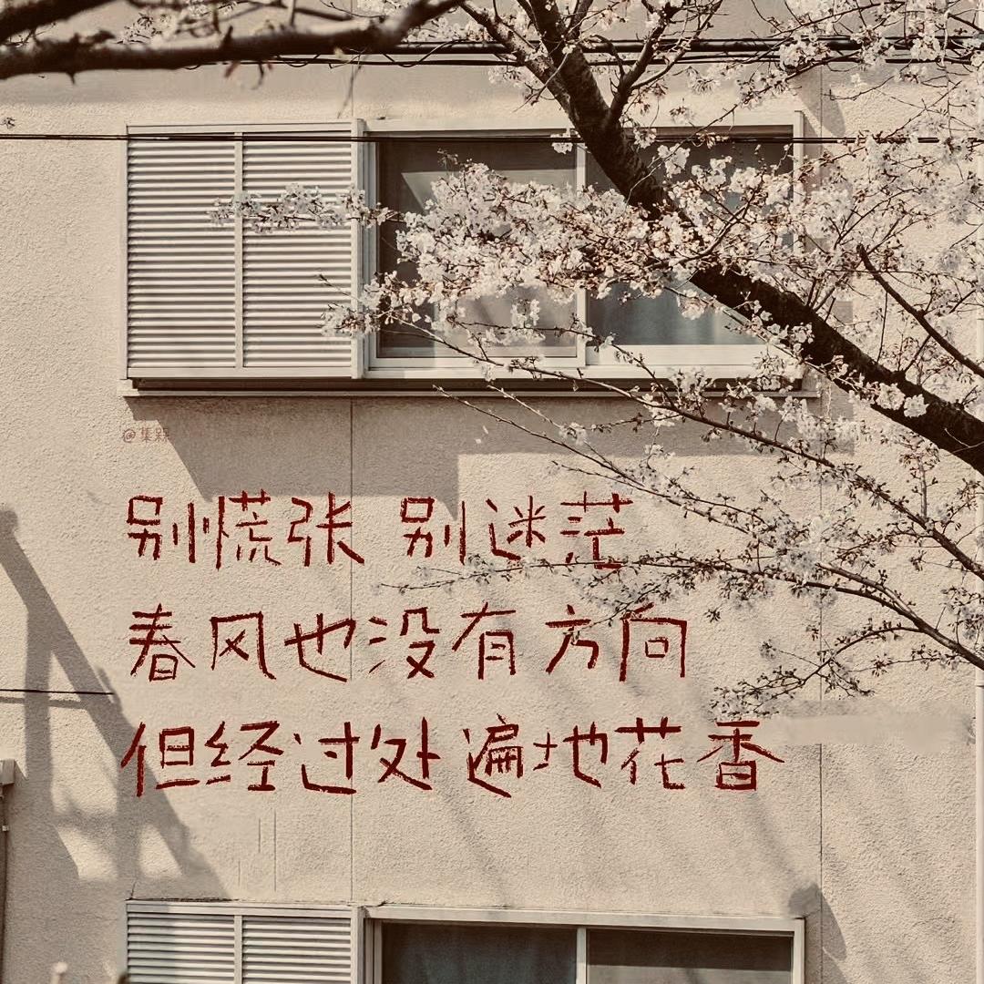 淮北卫浩贸易有限公司