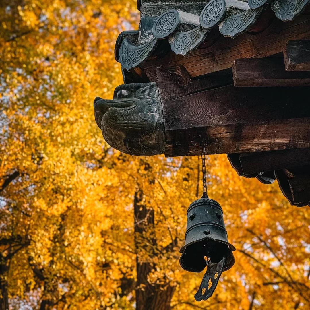 清禾。