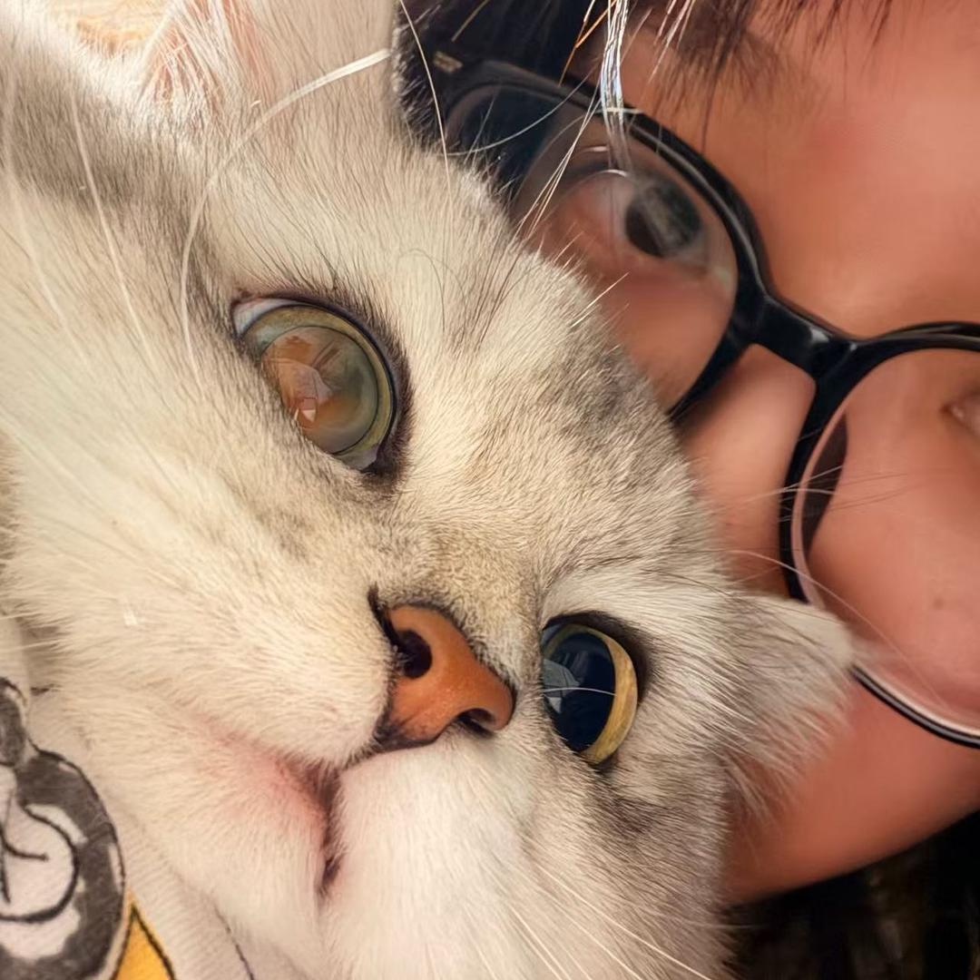 米饭依旧一小碗