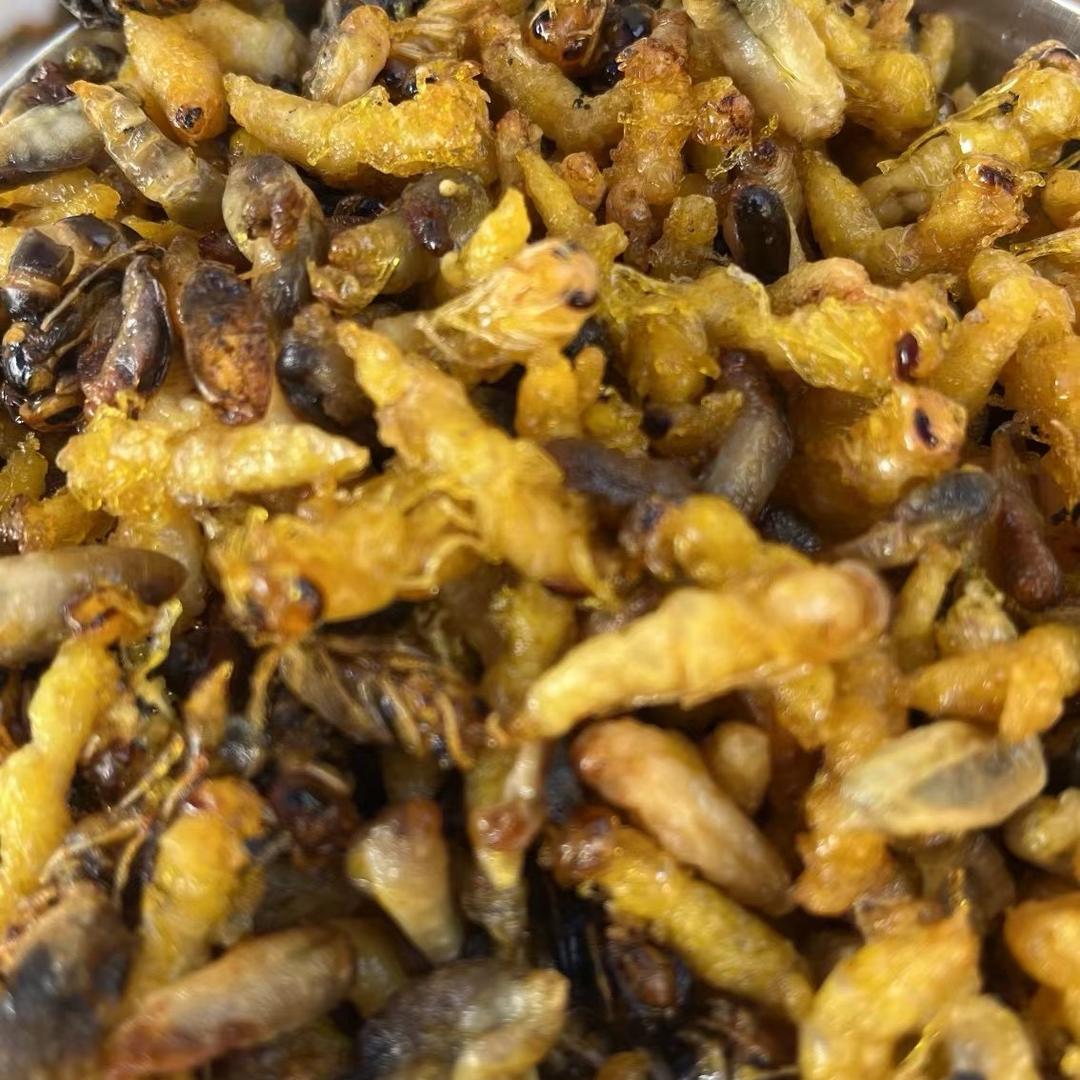 蜂味派（油炸蜂蛹）