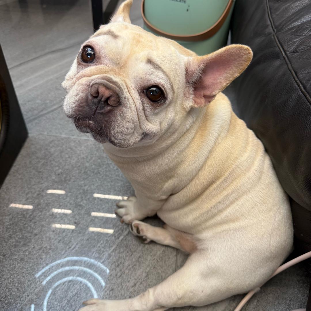 陈不住气得沉住气