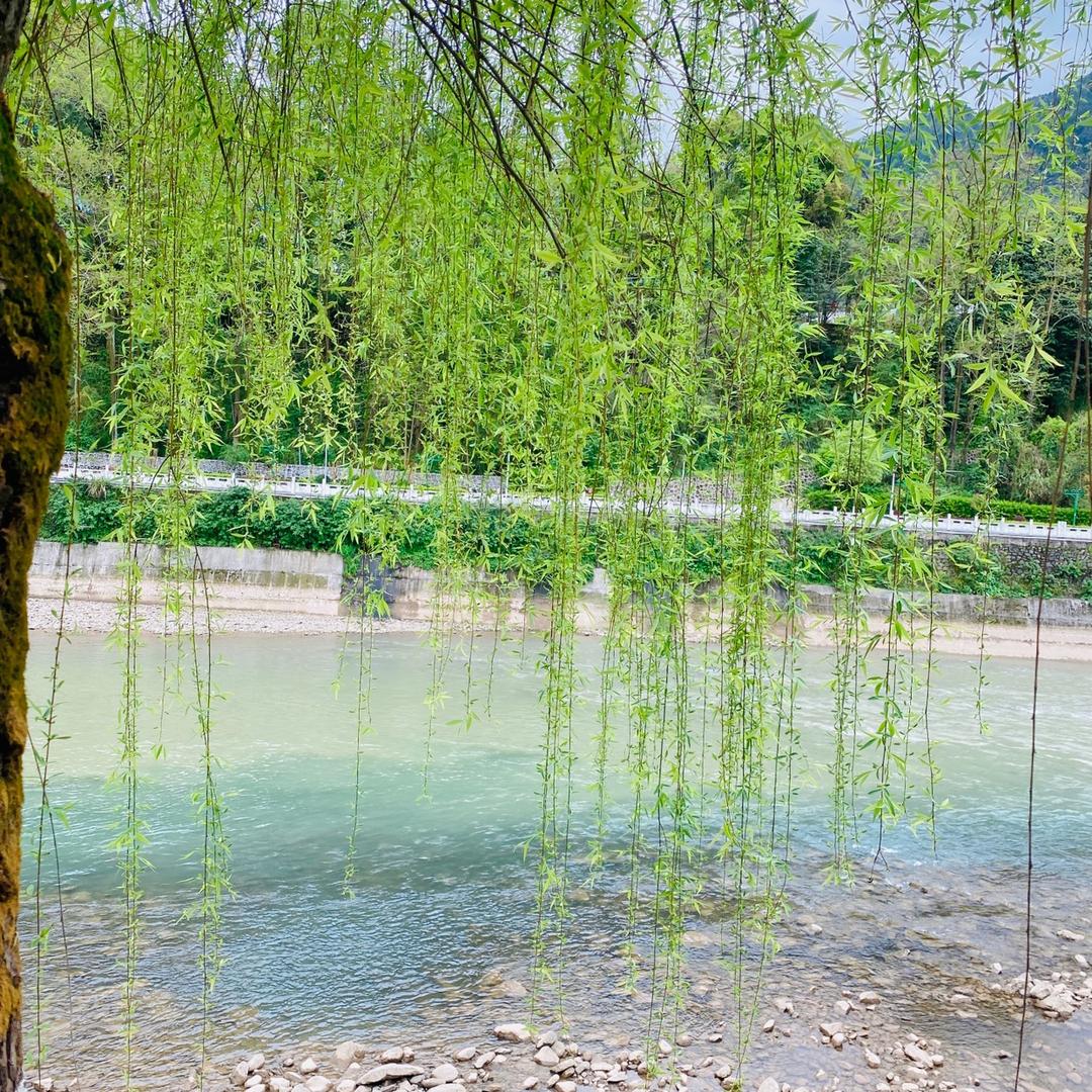 小毛屋吖