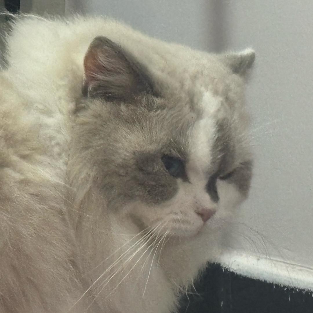 颐漾