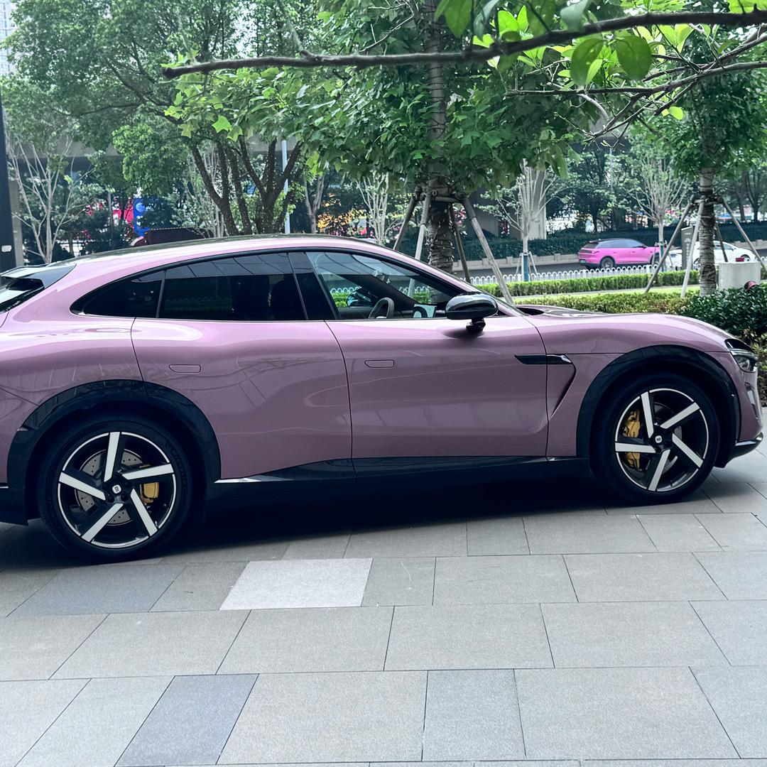 爱吃香菜的茉莉