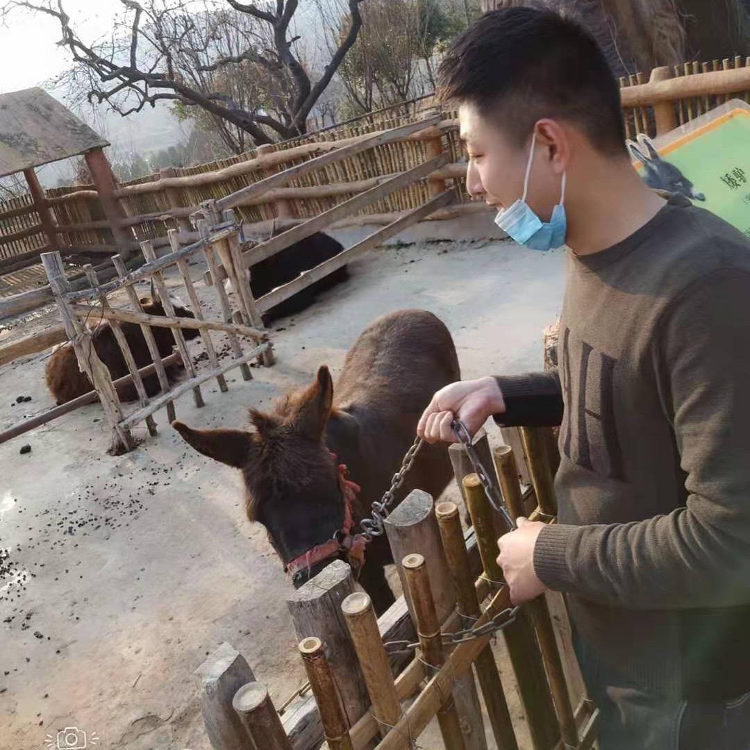 临沂集成吊顶