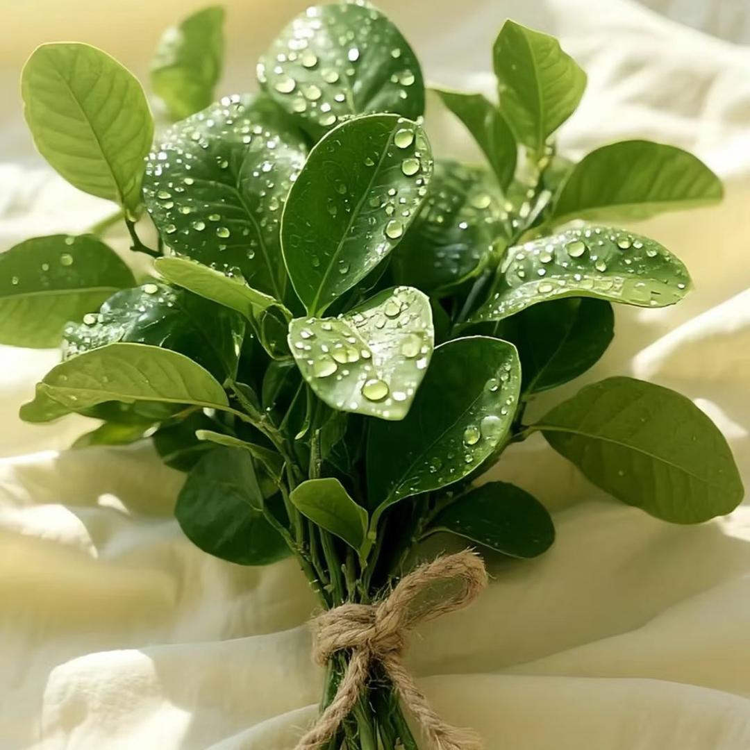 小锦李ˋˏᰔ ᩚ