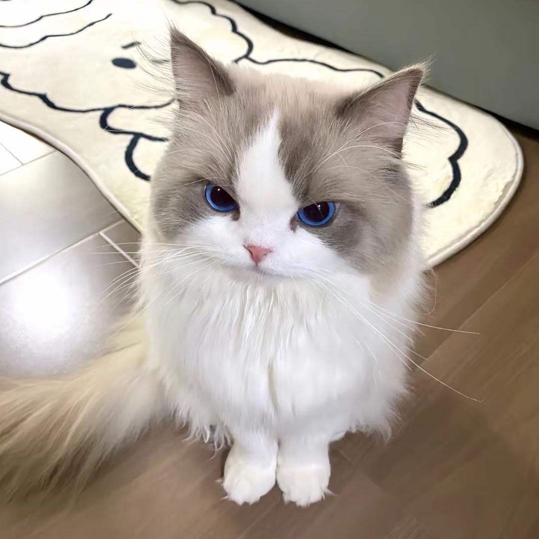 绝了