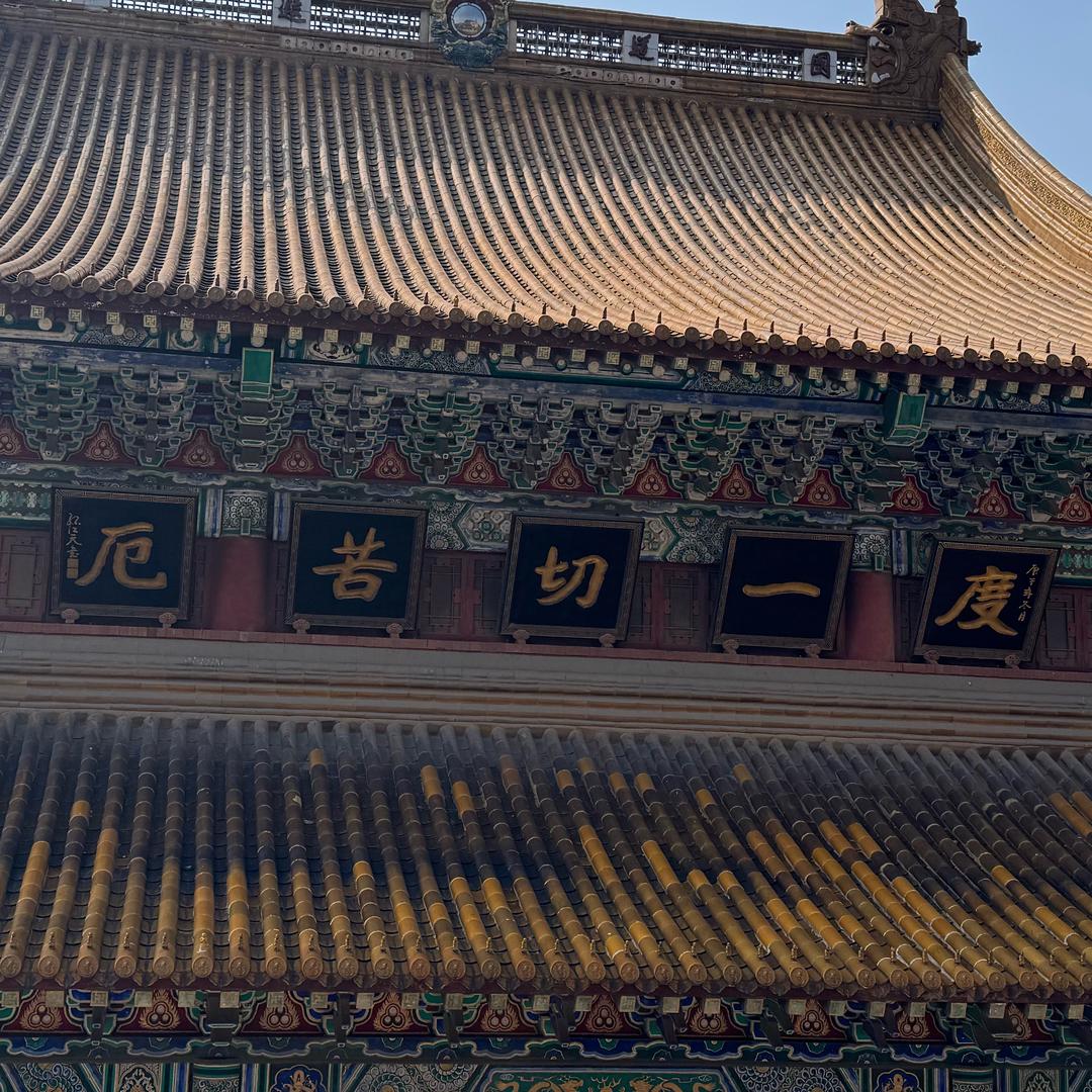 🌈疯疯💕癫癫🍃