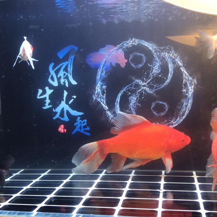 绿森林鱼缸工厂直销