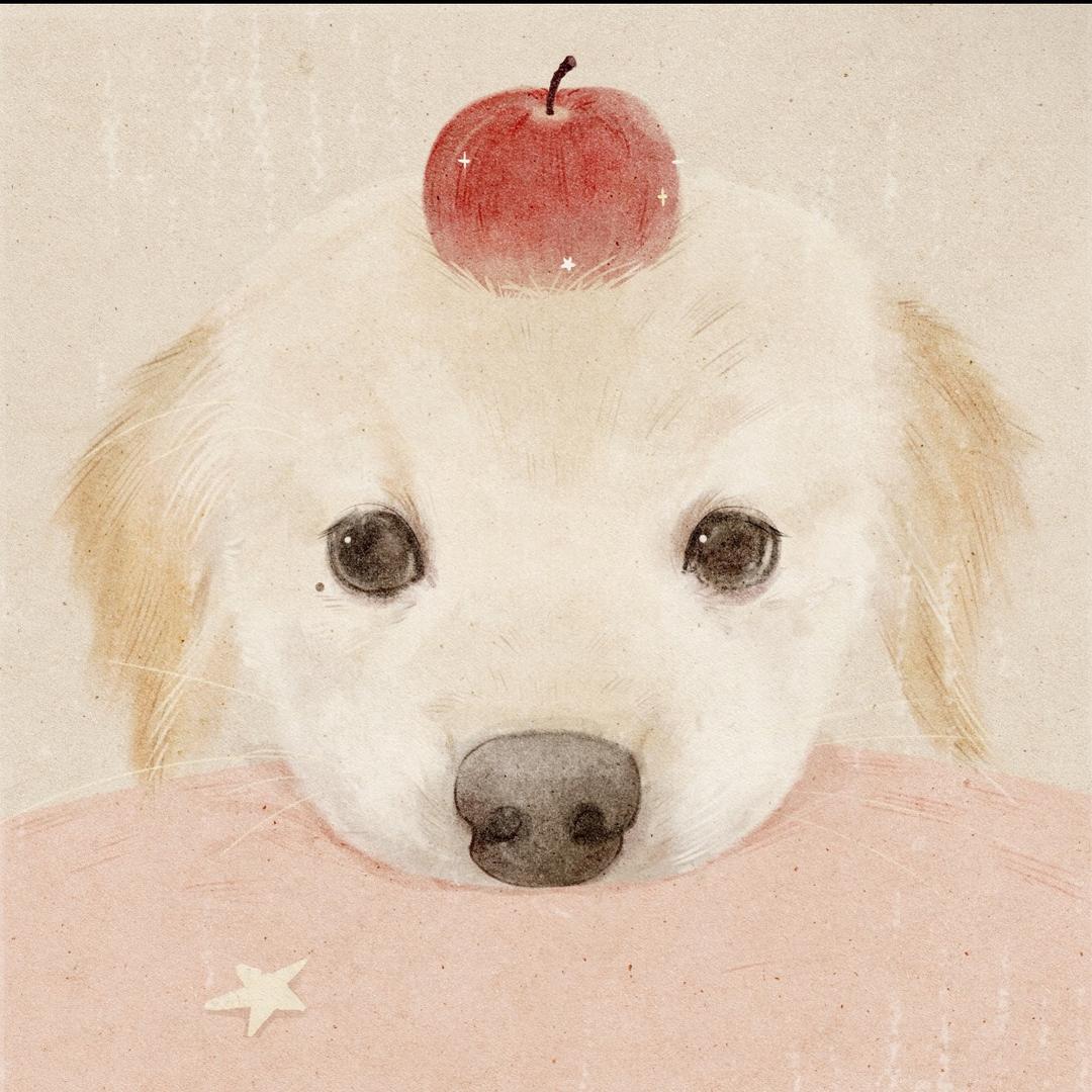 一只草原狂奔的小牛马