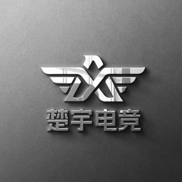 楚宇电竞（三角洲行动俱乐部）