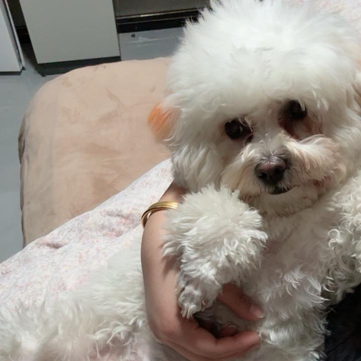 吾佳公寓，90后的包租婆，