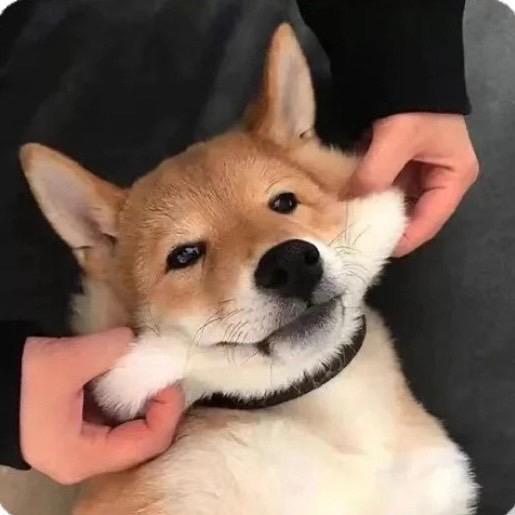 Kyzz