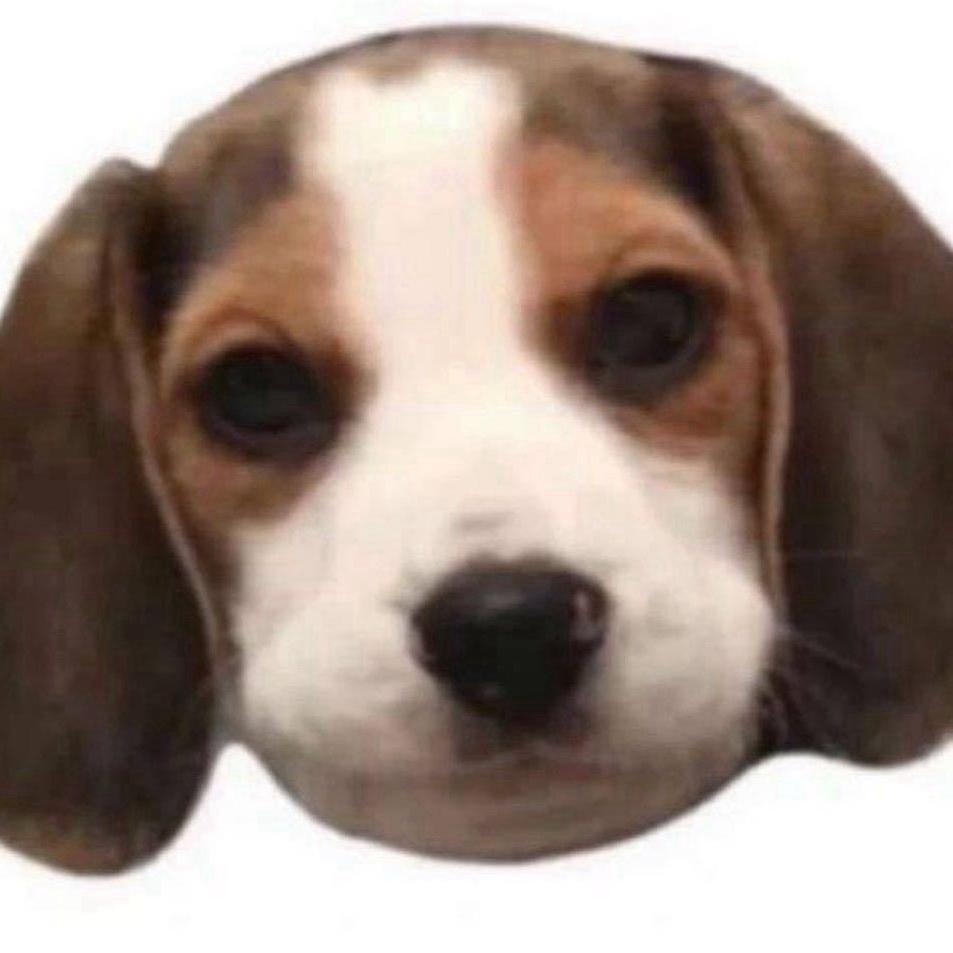 喝点美式万万岁