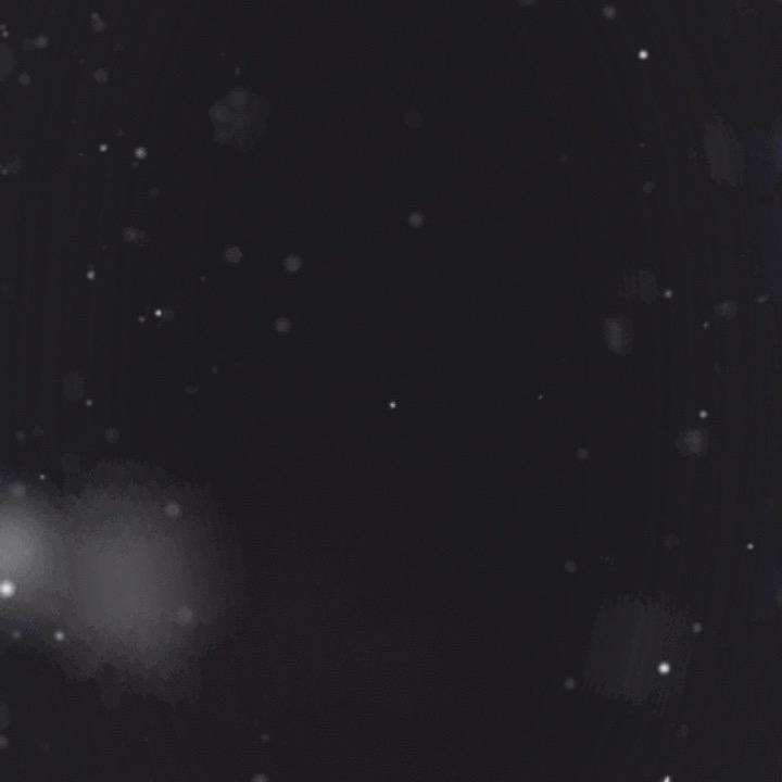 青栀