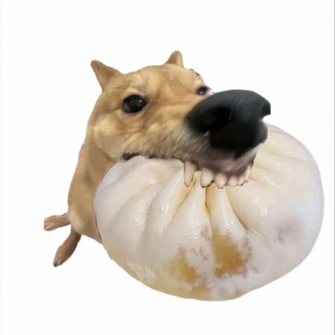 帅哥罢了（鸡瓦双修版）