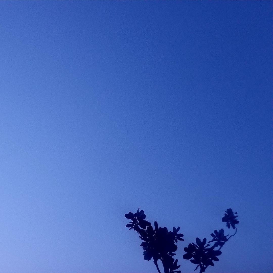 你今天吃饭了吗