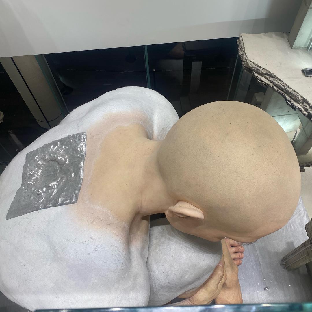 阳光彩虹小白马