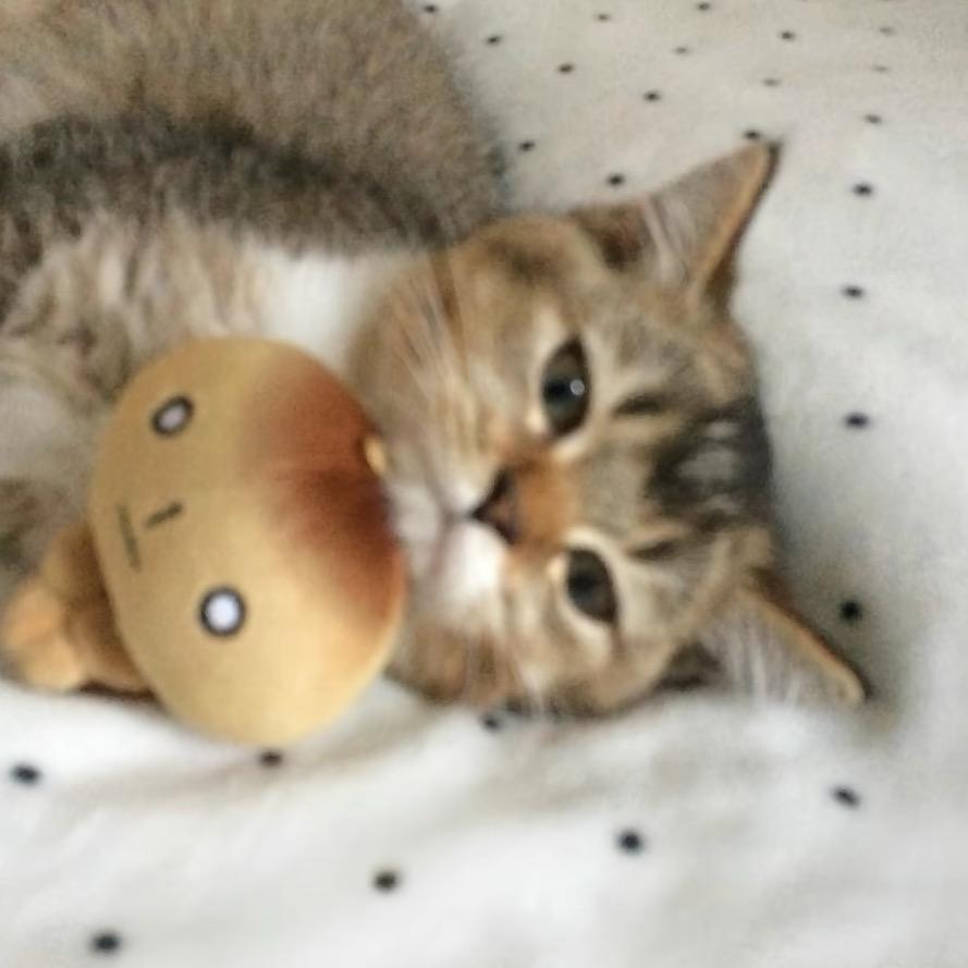 途学妹约毛打折