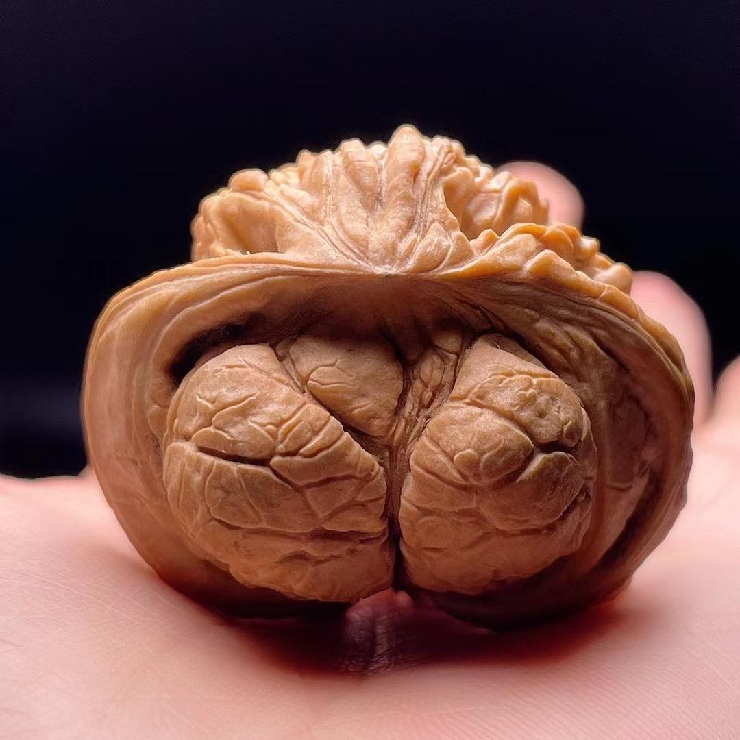 二弟青皮火火🔥🔥