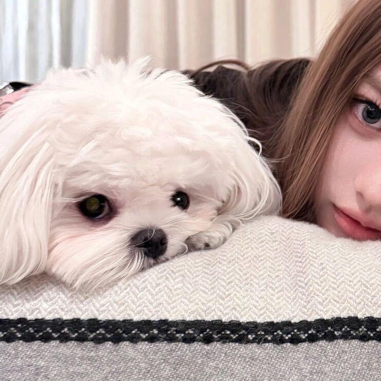 (  ˃᷄˶˶̫˶˂᷅  )