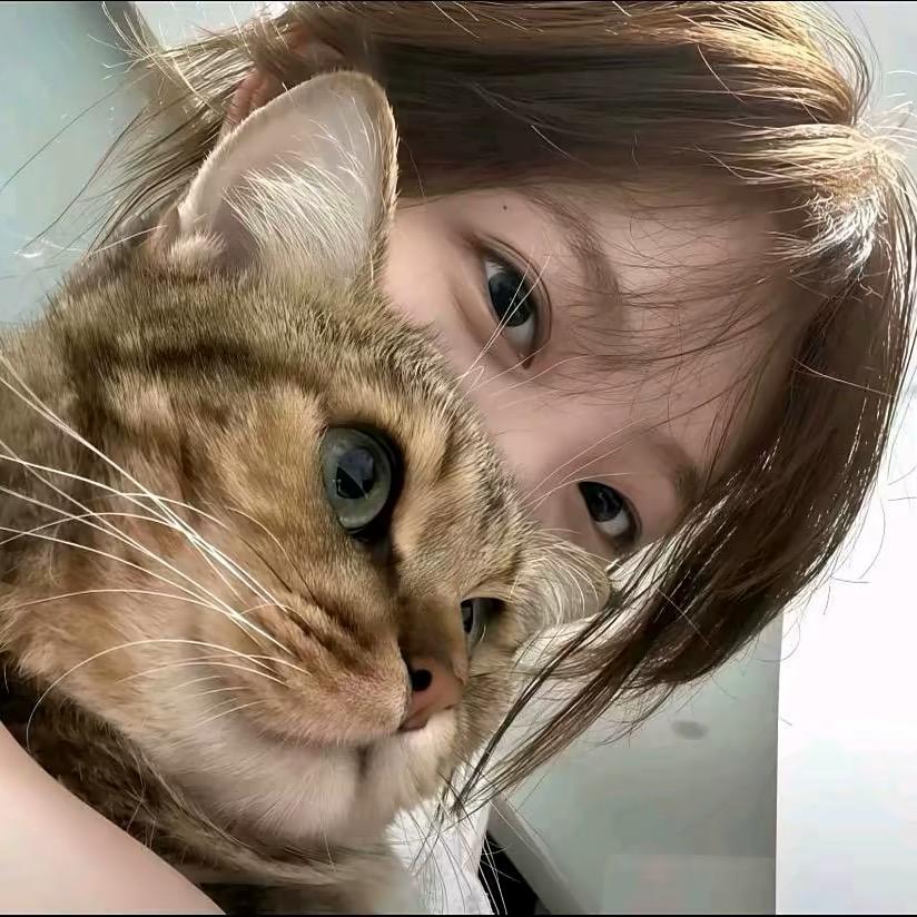 劫
