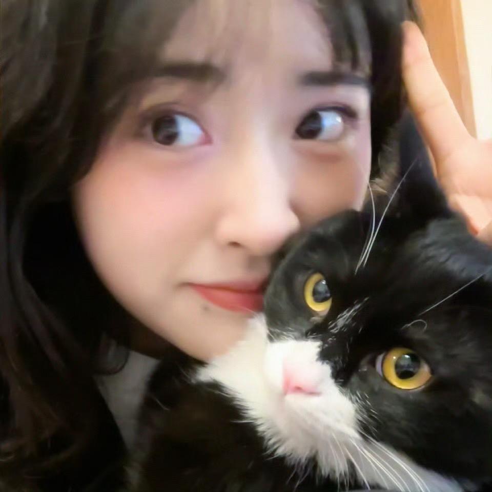 雨天aaa
