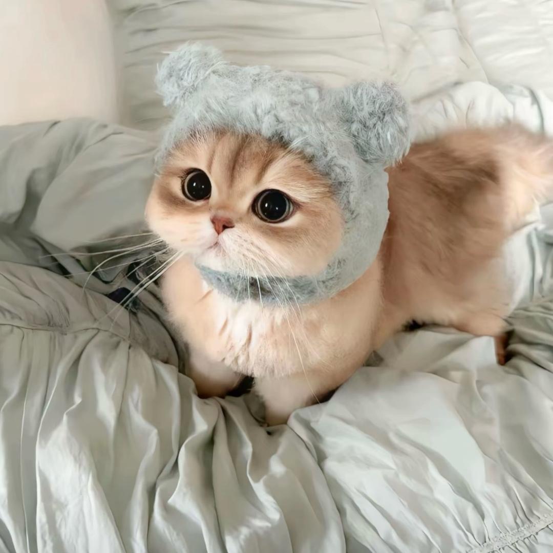 枝子