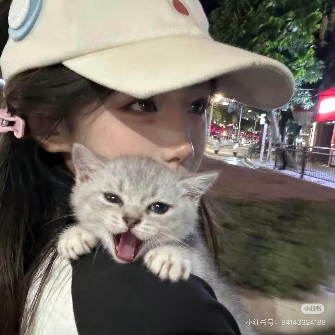 小半