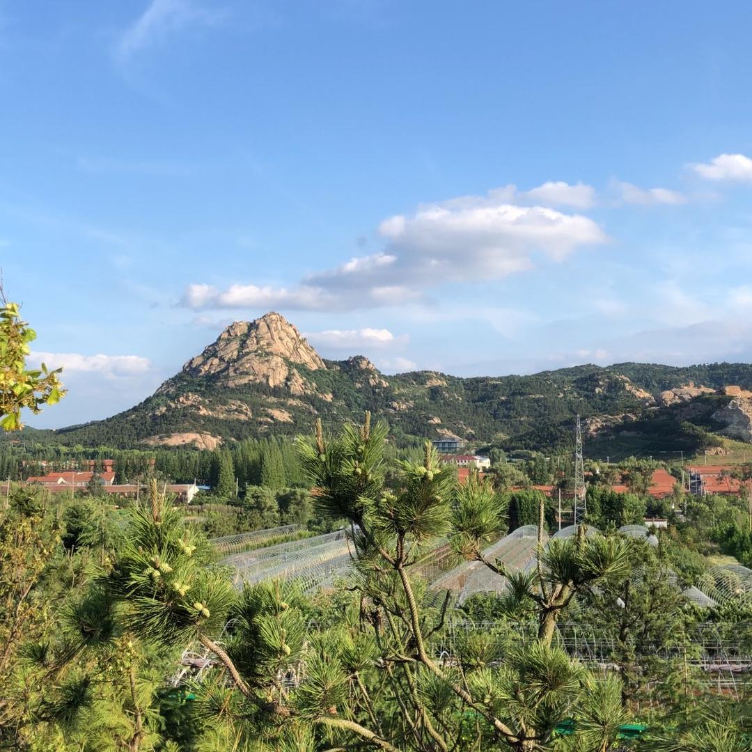 李家小院