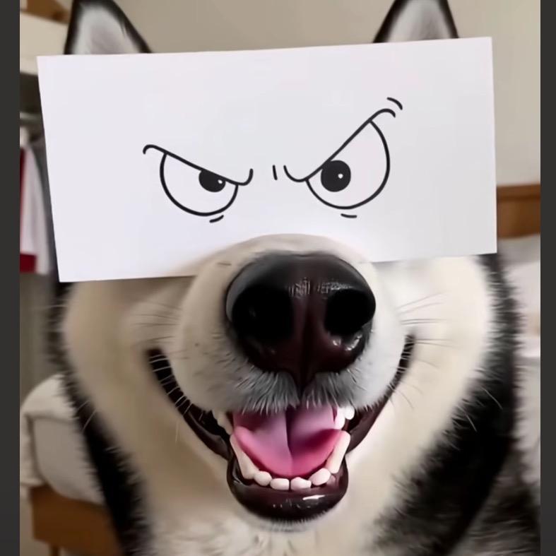 Zz…